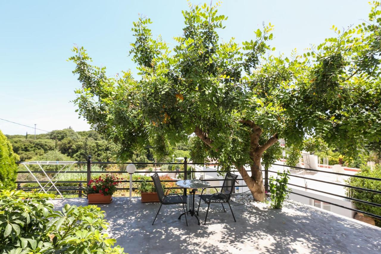 Pelagos Apartments Skala  Экстерьер фото